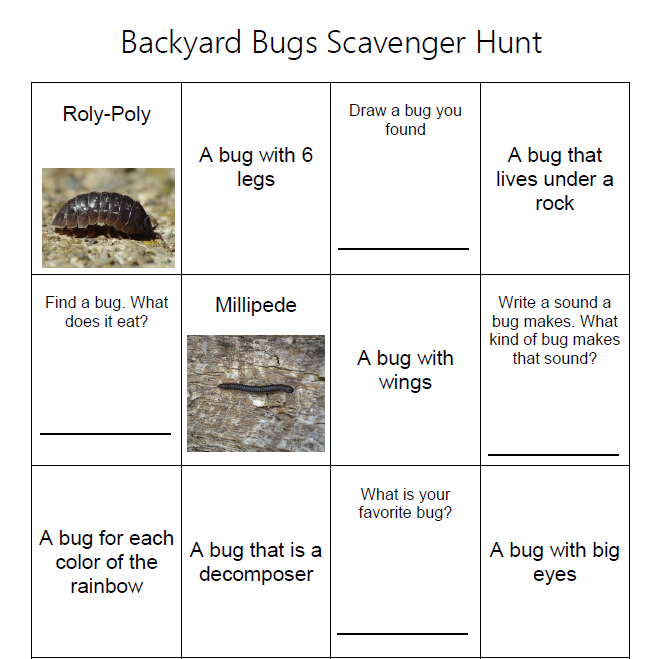 Scavenger Hunt: Backyard Bugs