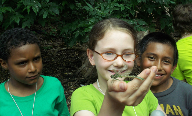 Campers holding new dragonfly in the sun.