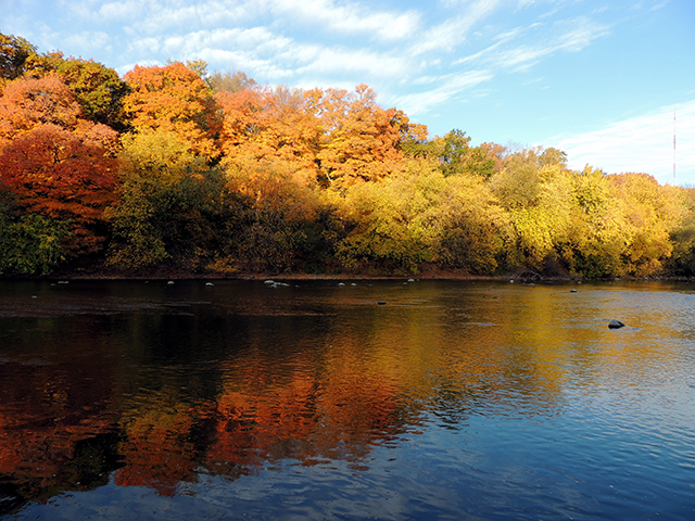 1Phenology RP 20151021 river 3