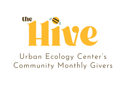 1The Hive Branding Kit