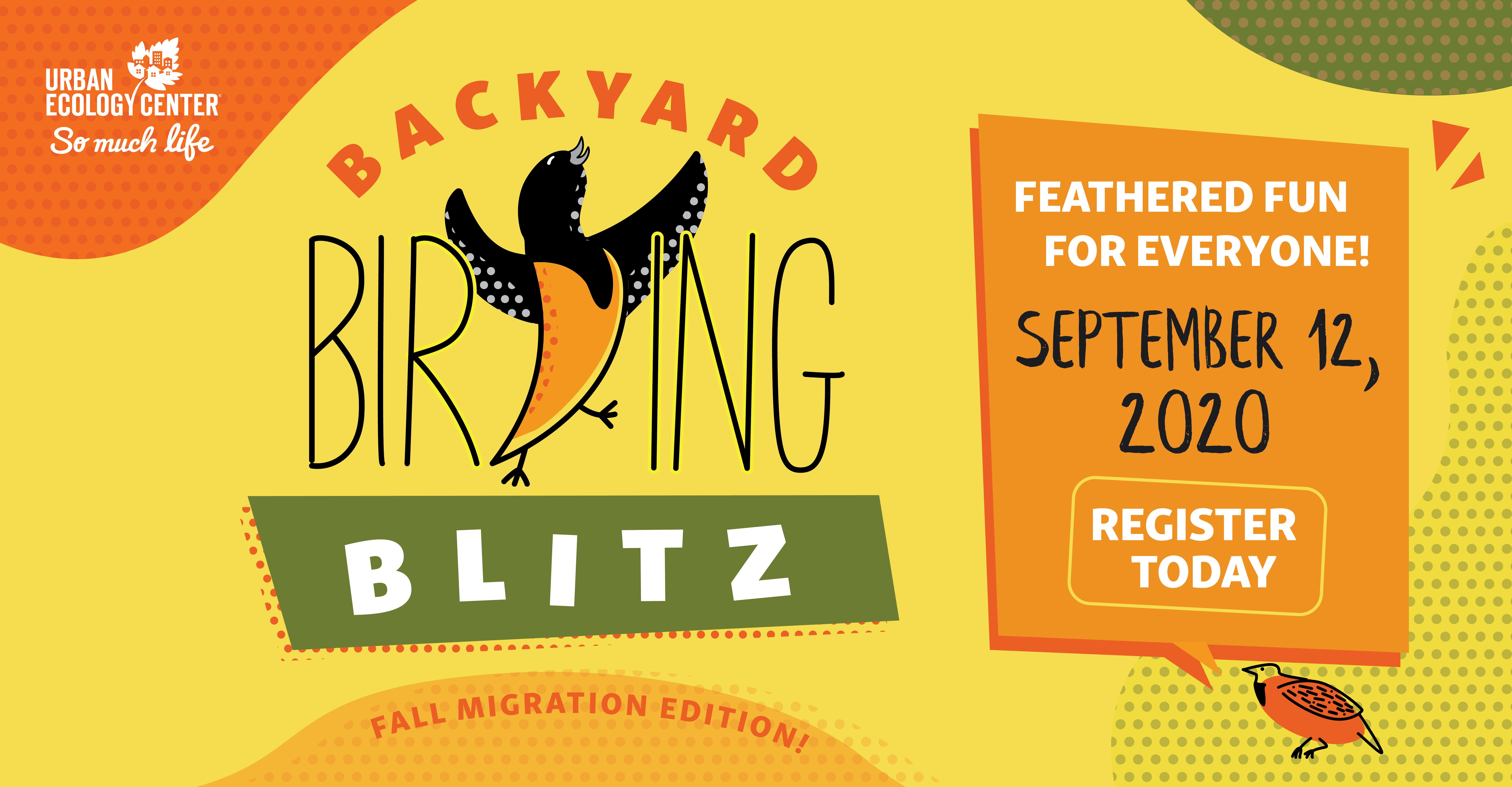 BackyardBirdingBlitz Autumn WebHeader 01