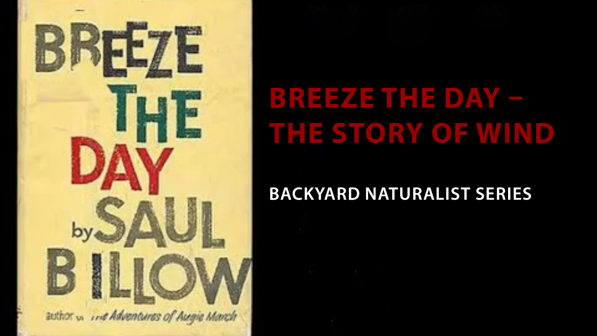 Breeze the Day - The Story of Wind - Backyard Naturalist Series