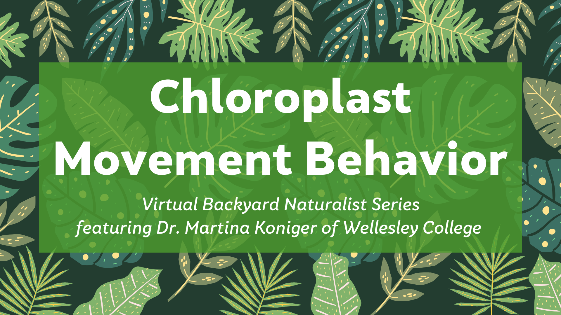 Chloroplast Movement Behavior - Virtual Backyard Naturalist Series