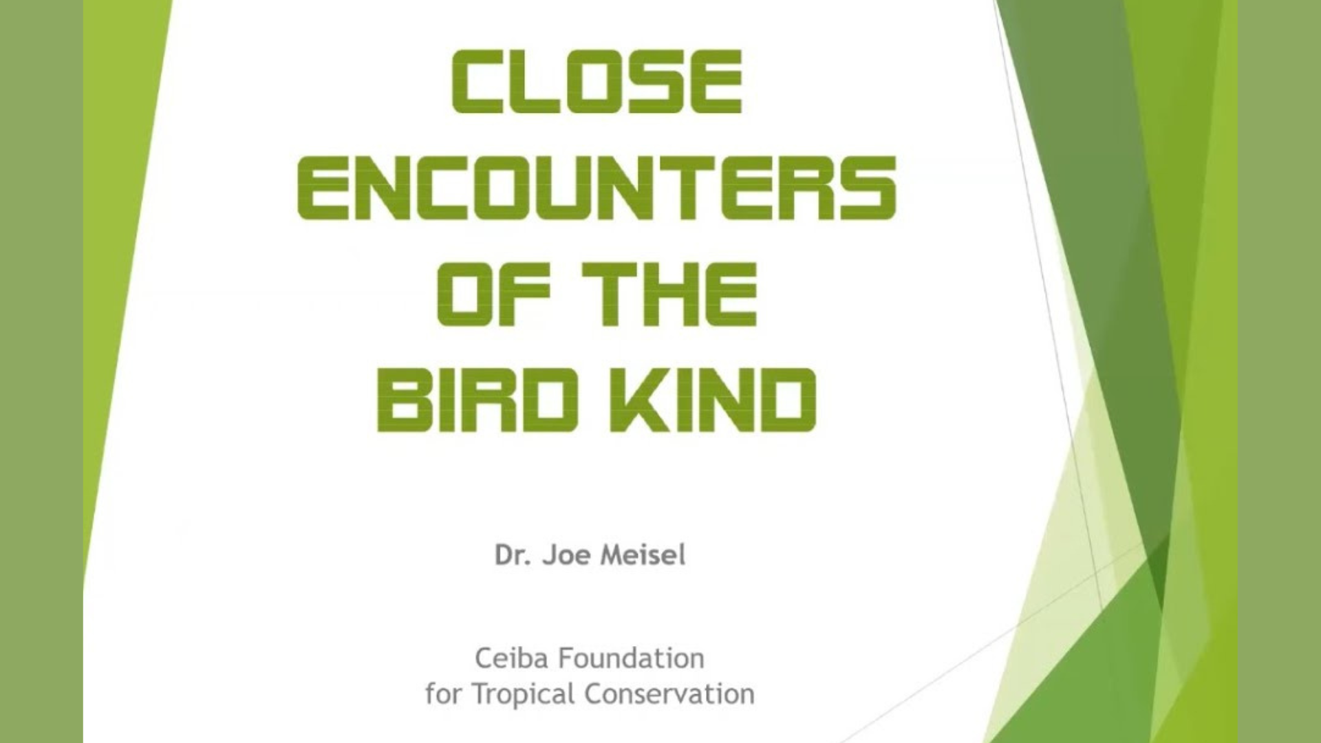 Close Encounters of the Bird Kind – Backyard Naturalist Series