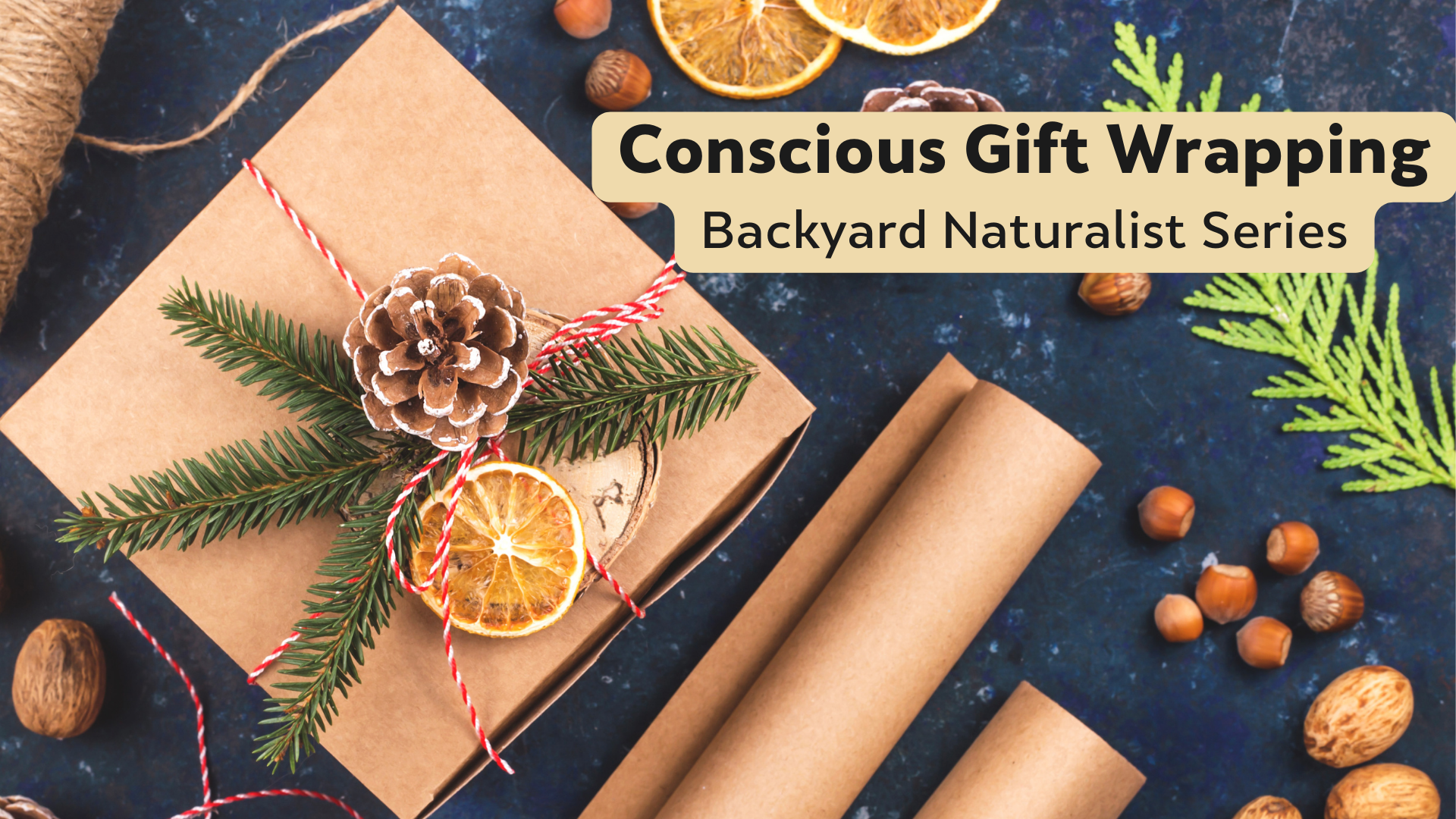 Conscious Gift Wrapping - Backyard Naturalist Series