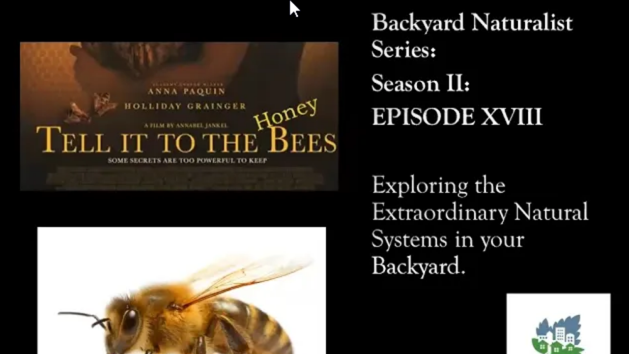 Tell it to the Honeybees - Virtual Backyard Naturalist