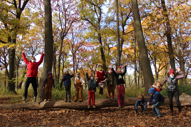 Kids jumping on a fallen tree in an autumn woods