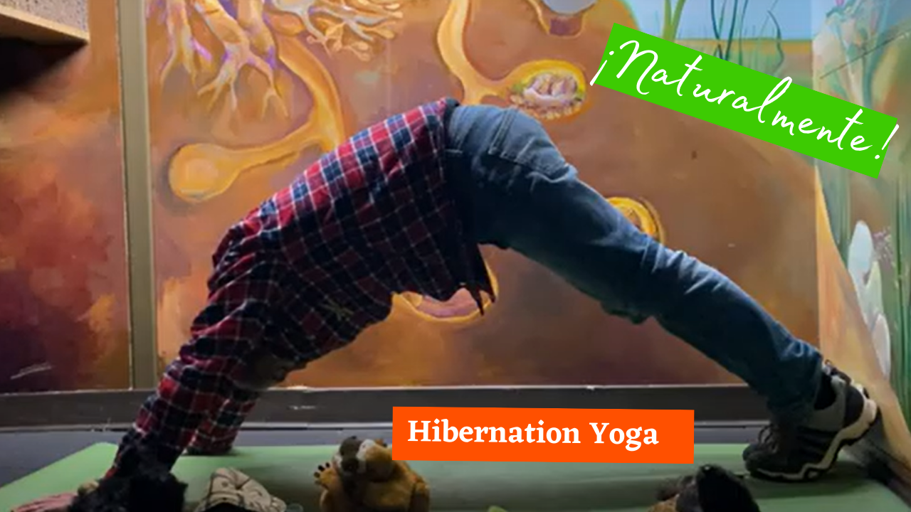 Naturalmente: Hibernation Yoga