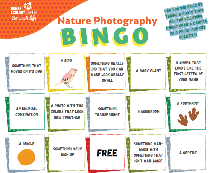 Nature Photography Bingo