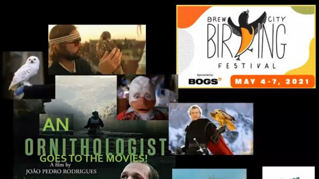 An Ornithologist Goes to the Movies, a Debunking - Brew City Birding Festival
