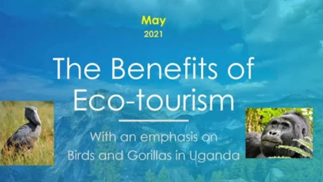 Effects of Eco-Travel on Wildlife and Communities - Brew City Birding Festival