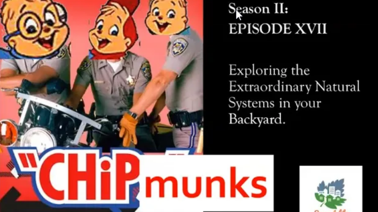 Backyard Naturalist, season 2, Episode 18: CHiPmunks