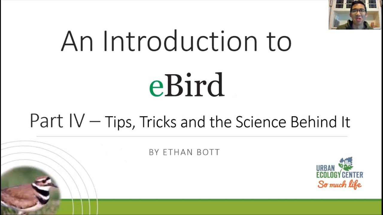 Intro to eBird – Part 4 – Final Tips and the Science Behind It (Recorded Live Lecture)