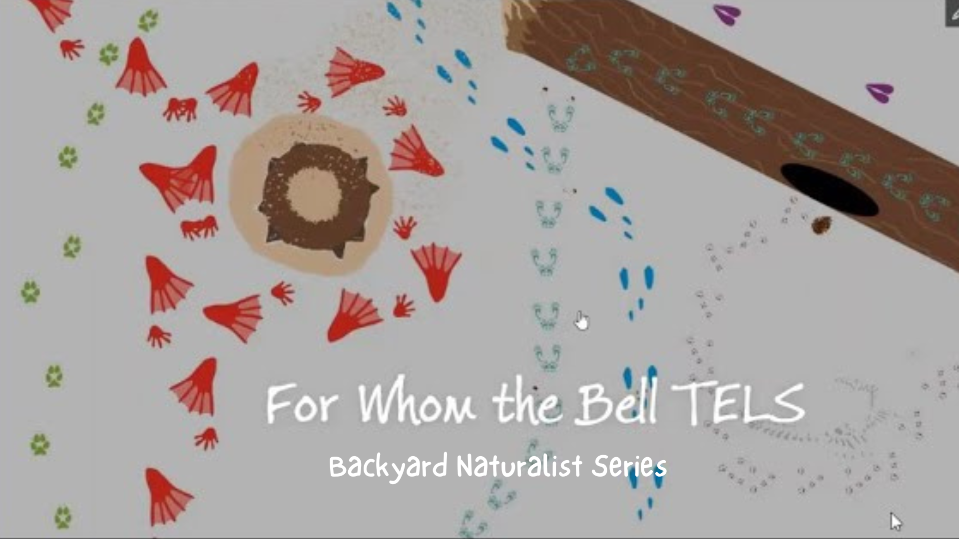 For Whom the Bell TELS - Backyard Naturalist Series