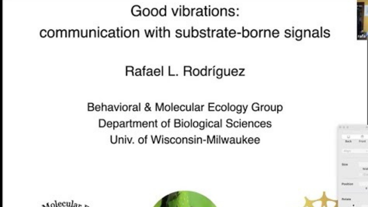 Good Vibrations: Communication with Substrate-borne Signals – Backyard Naturalist