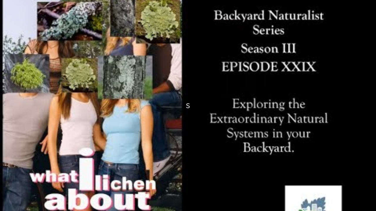 What I’m Lichen Bout You- Backyard Naturalist Series