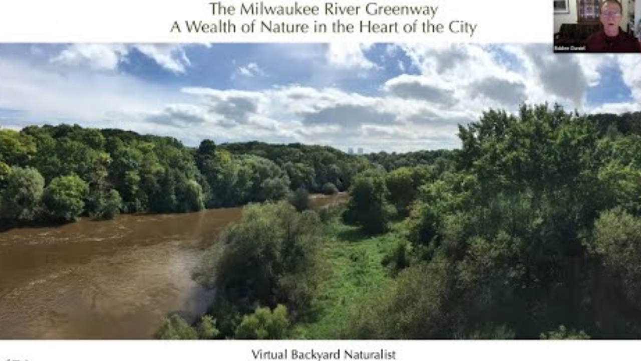 Milwaukee River Greenway: A Wealth of Nature in the City's Heart - Backyard Naturalist