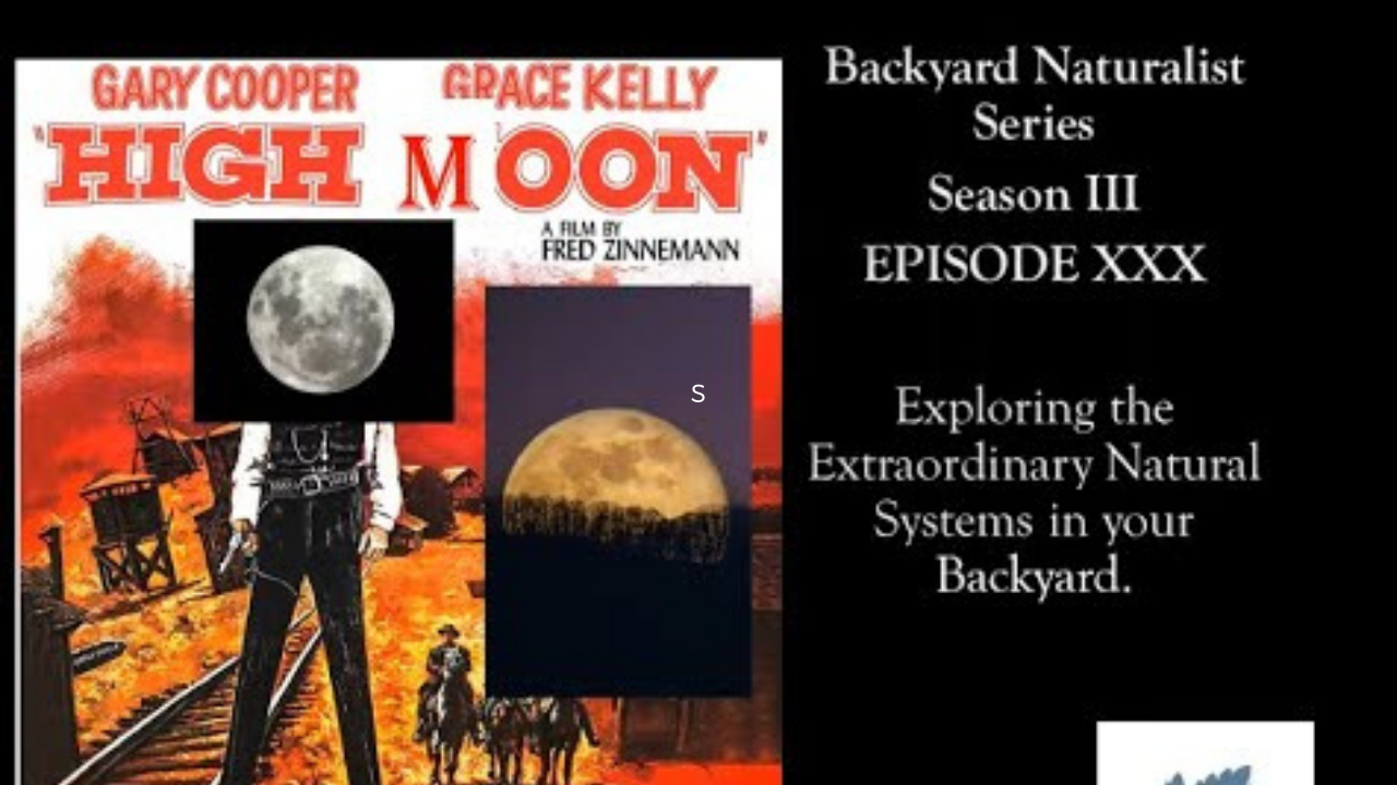 High Moon - Backyard Naturalist Series