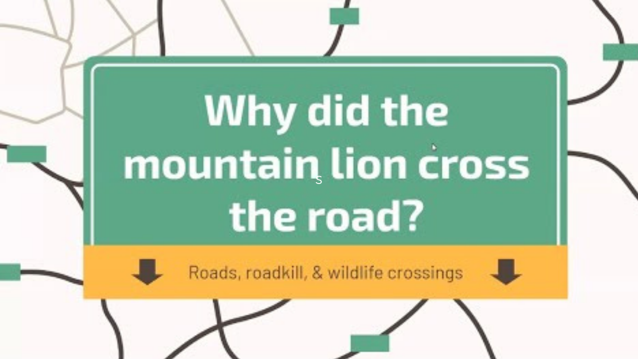 Why Did the Mountain Lion Cross the Road?- Backyard Naturalist Series
