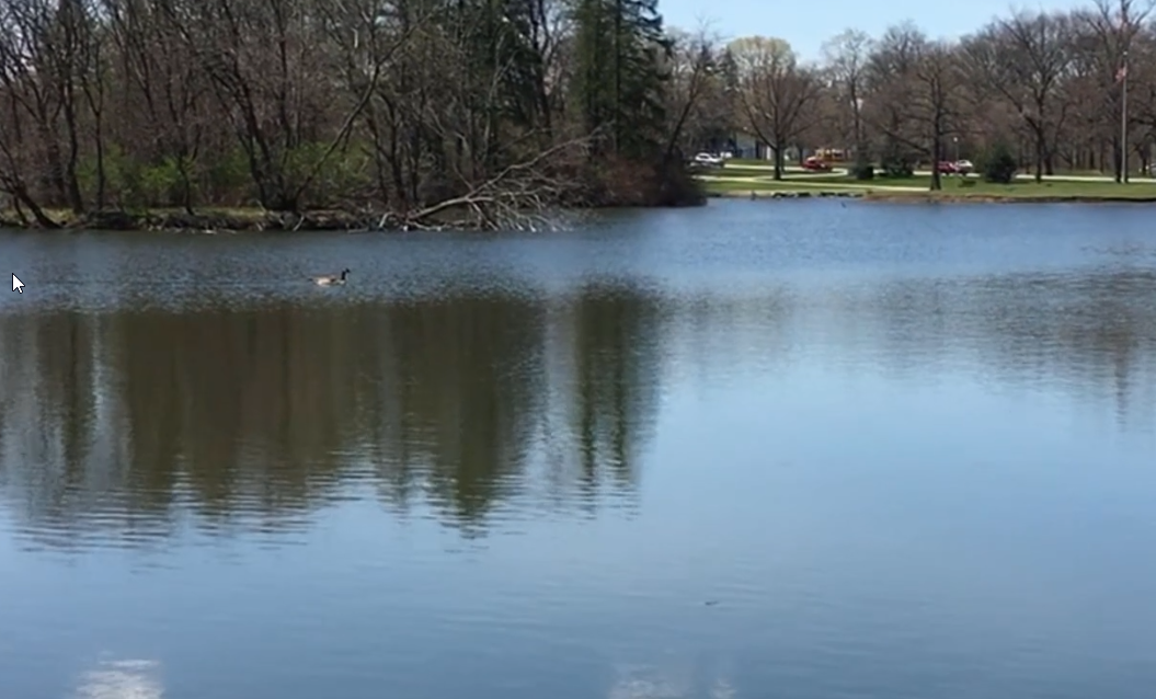 A nature hike in Kirsten's neighborhood