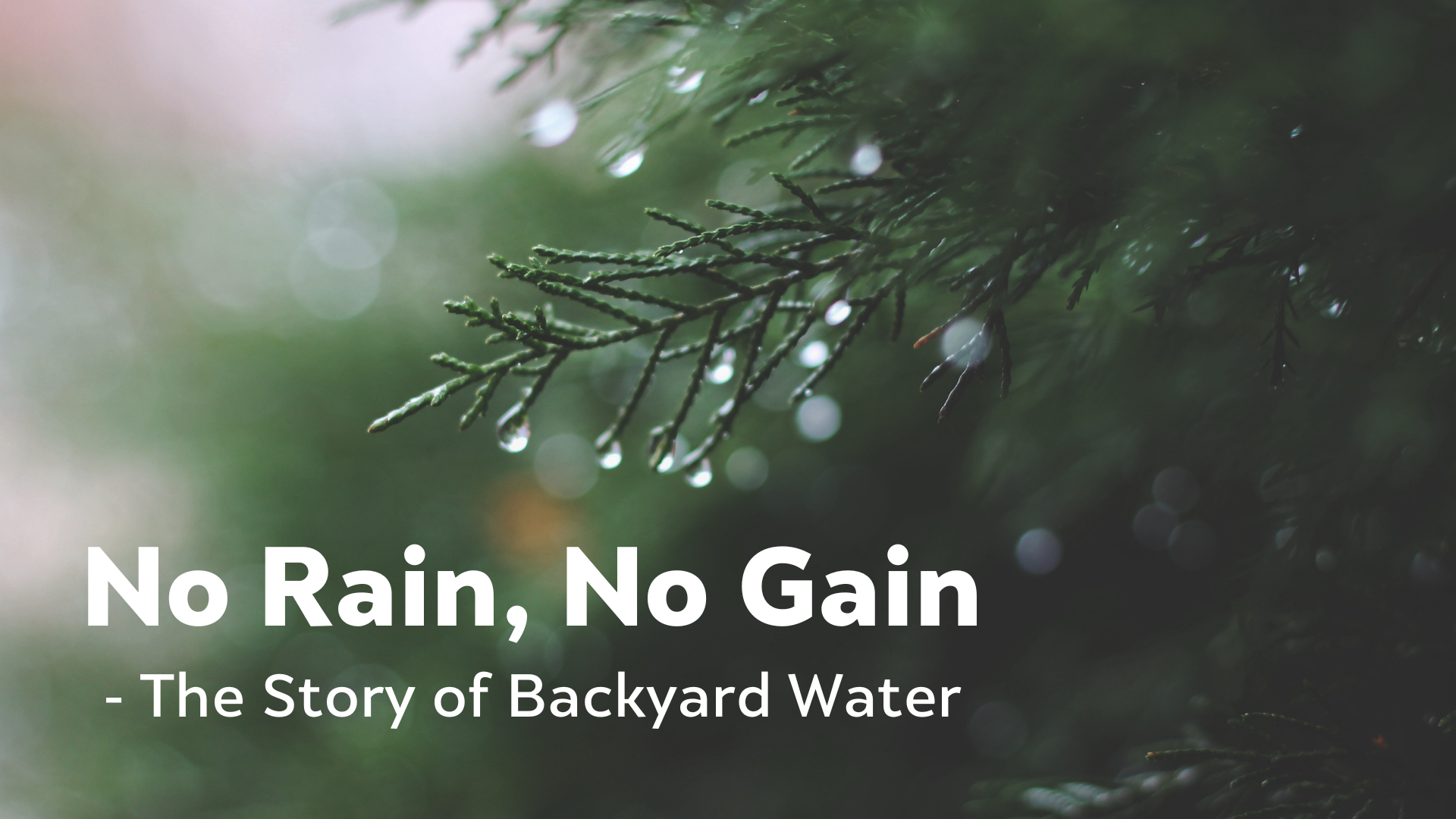 No Rain, No Gain - The Story of Backyard Water - Backyard Naturalist Series