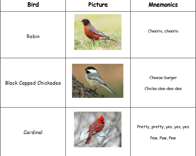 Mnemonic Bird Songs (Guide for parents)