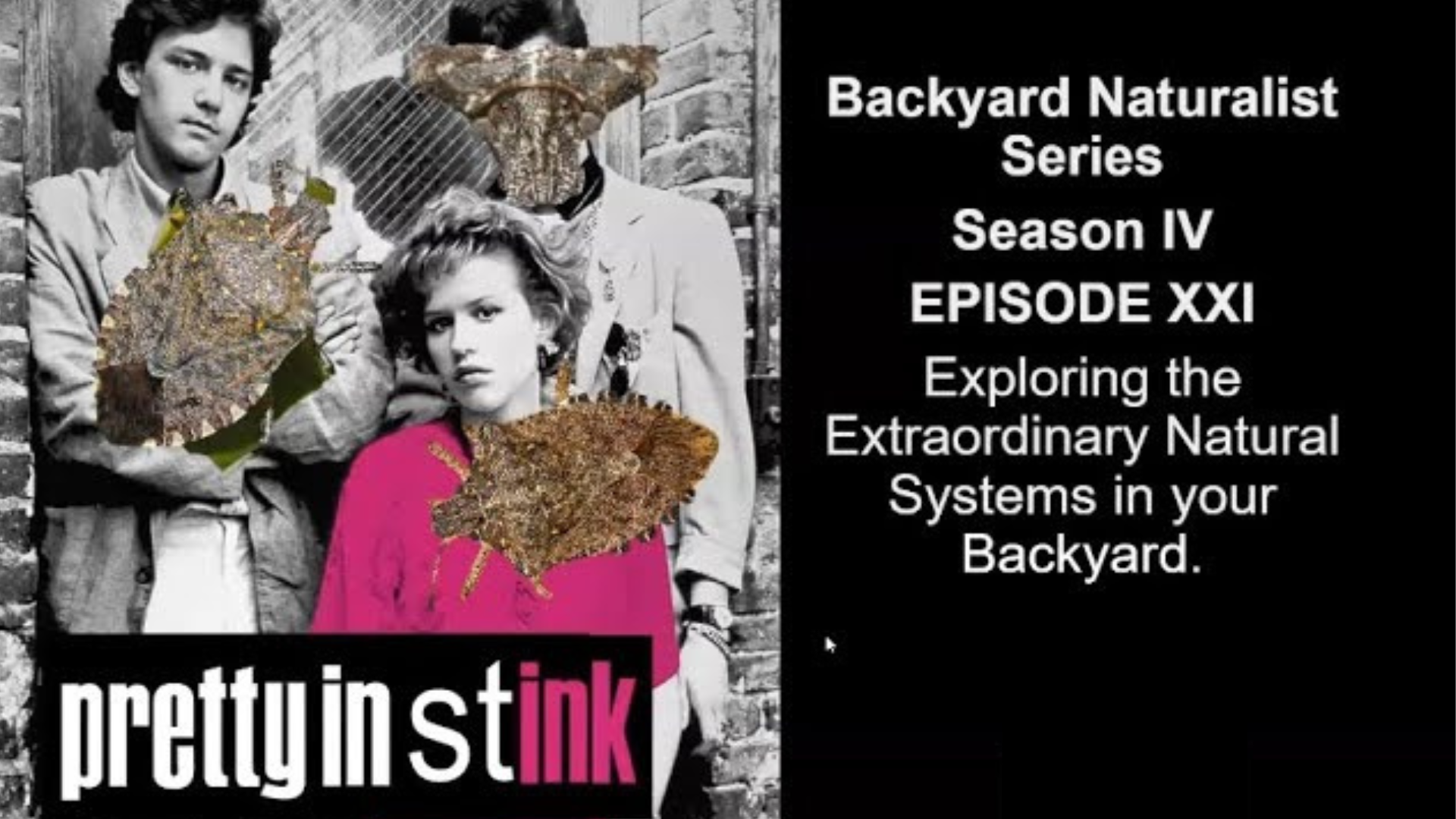 Pretty in Stink - Backyard Naturalist Lecture Series