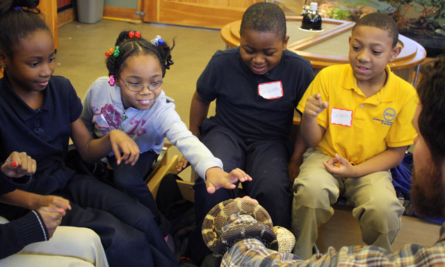 Children getting to touch a snake! Photo credit: Denis Pohlman.