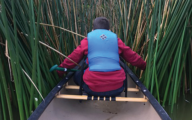 exploring the cat tails by canoe