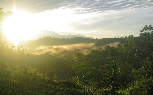 Cloud Forest Costa Rica by Micah MacAllen