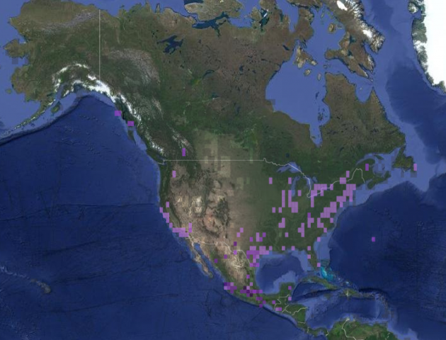 NashvilleWarbler Nov2018 map