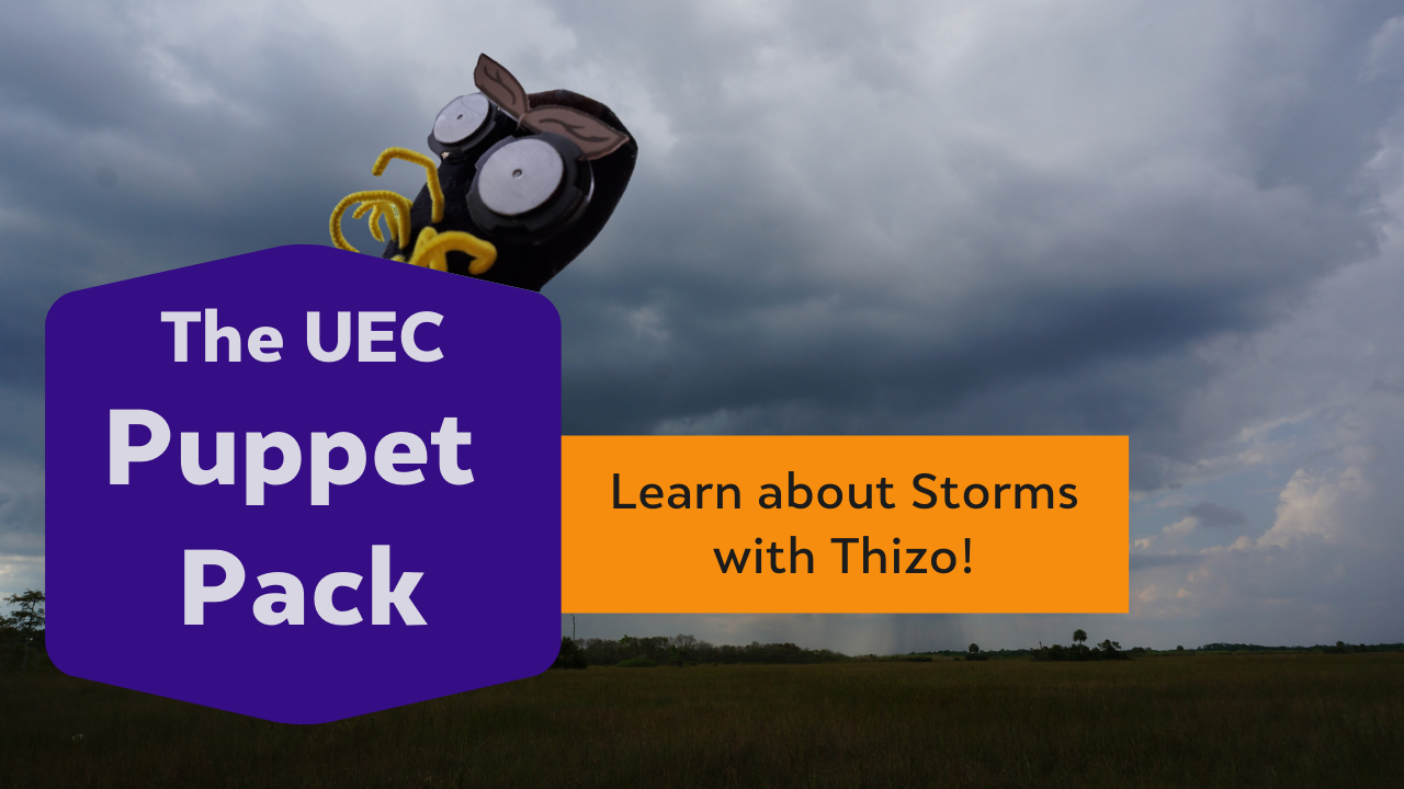 Puppet Pack Storms with Thizo