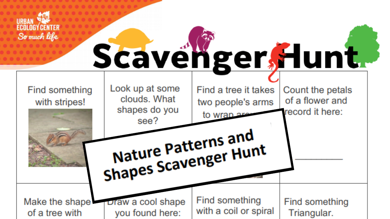 Shapes and Patterns Scavenger Hunt