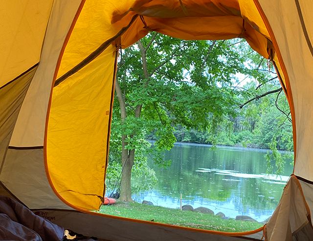 Looking out through the door of a tent at a pine tree and lake.