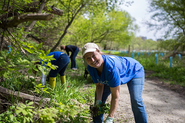 Smiling volunteer planting trees