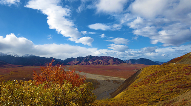 alaska landscape