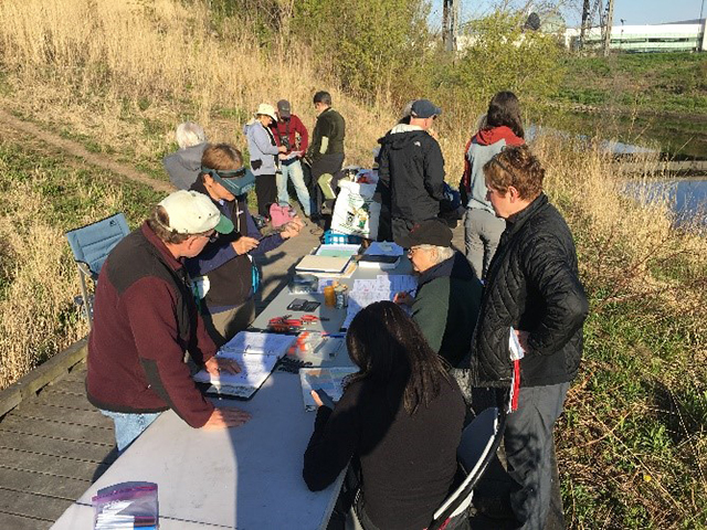 birdbanding