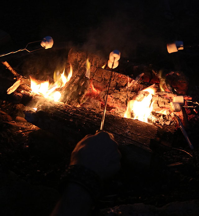 campfire with people toasting marshmallows