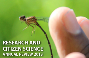cit sci annual review