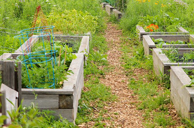 communitygardens