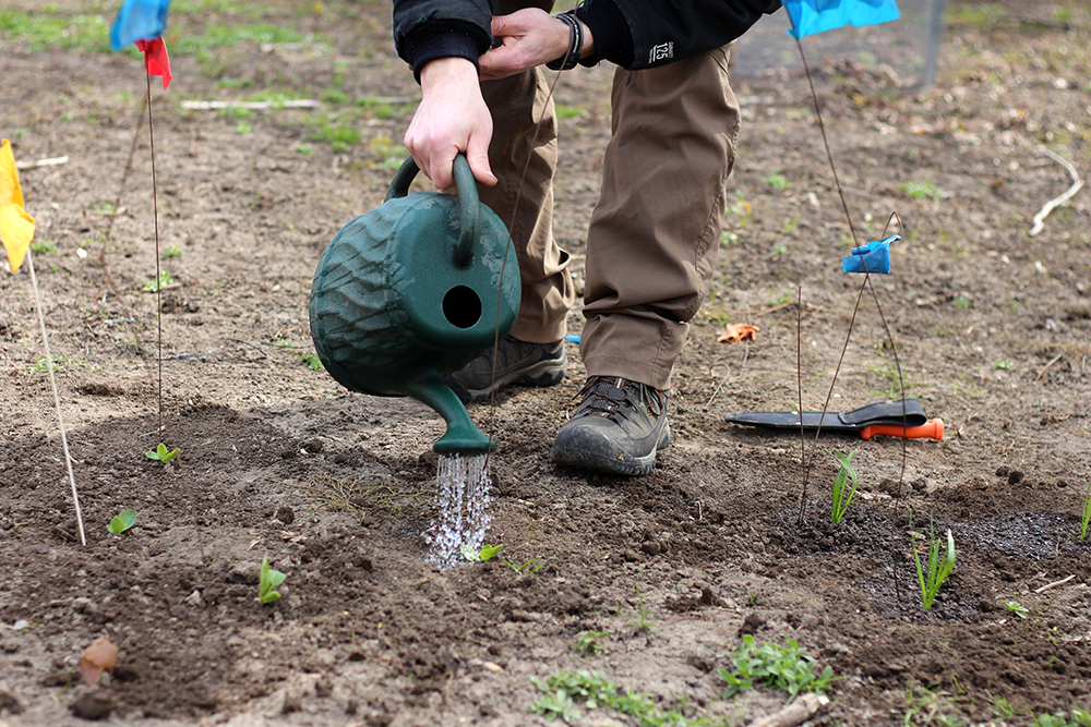 earthweek watering