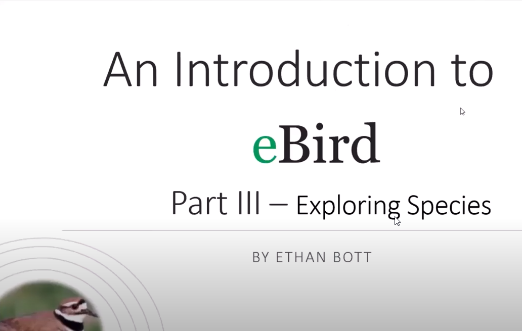 Intro to eBird Part 3 (Recorded Live Lecture)