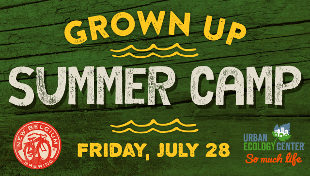 grown up summer camp 2017