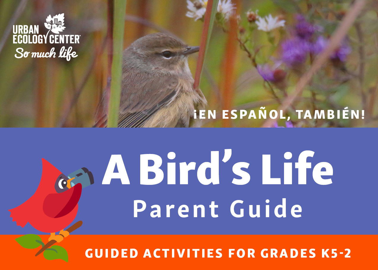 The Life of Birds: Parent Guide