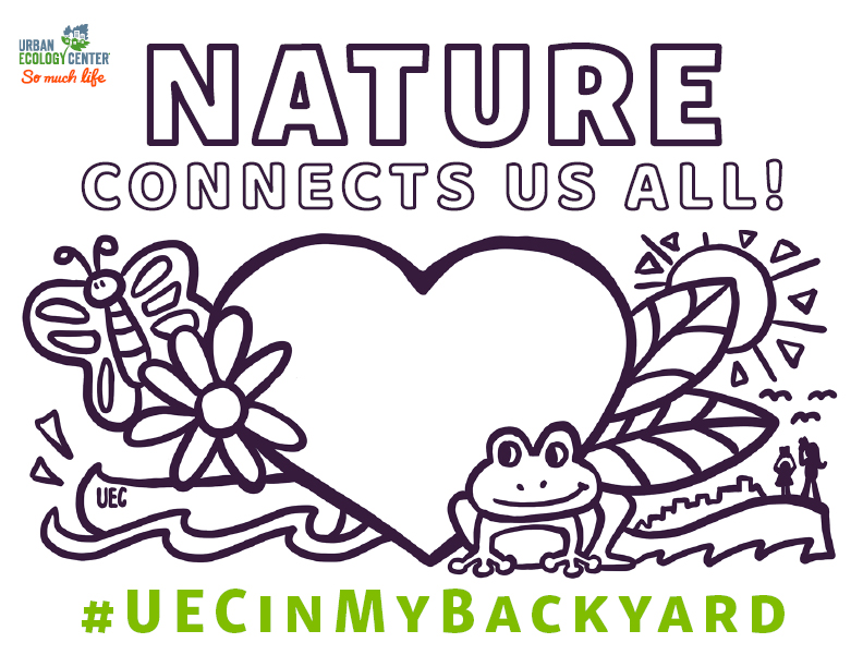 Nature Connects Us All:  Coloring Page