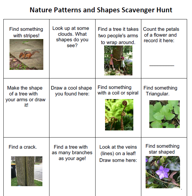 Scavenger Hunt: Nature Patterns and Shapes