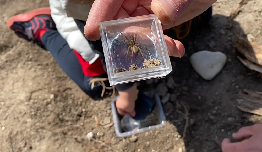Exploring Nature: Make an Insect Trap! (Part 1)