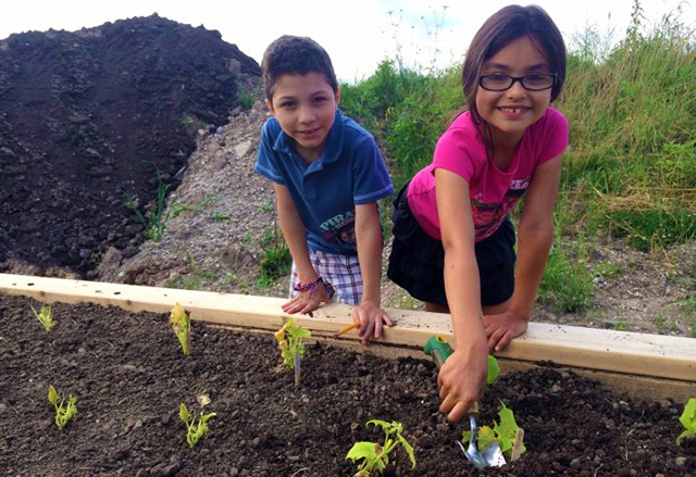 mv community garden