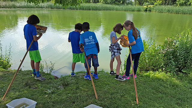 Summer Camp kids using nets to scoop water invertebrates