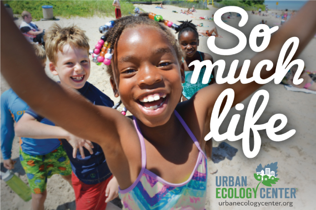 Girl in a swimsuit on a beach has a big smile and her arms up like she's cheering while other smiling kids run around the beach. The words So Much Life and the UEC logo are on the right on the photo.